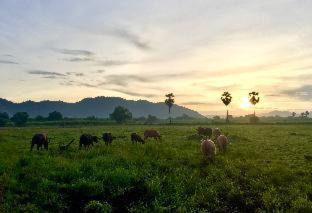 Lop Buri House | Wanlapa Farmstay