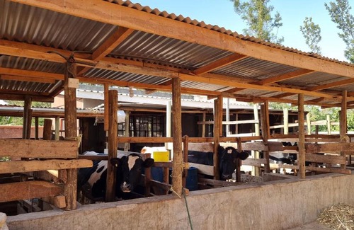 Kirinyaga House | Waridi Farmhouse