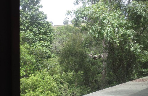 Bindera House | Water Gums Retreat, Barrington River, Barrington Tops area, perfect for groups