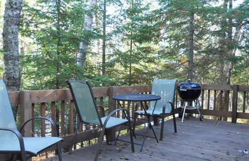 Marcell Cabin | Water's Edge LAKE Cabin ~Beach~Kayaks~Wifi~SUP Board~Campfire~State Park Nearby!
