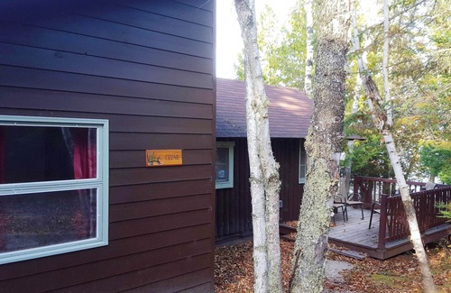 Marcell Cabin | Water's Edge LAKE Cabin ~Beach~Kayaks~Wifi~SUP Board~Campfire~State Park Nearby!
