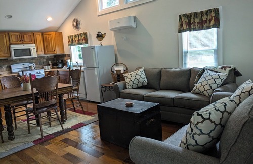 Livingston Manor Cabin | Waterfront Debruce Riverside Cabin Directly on the Willowemoc River!