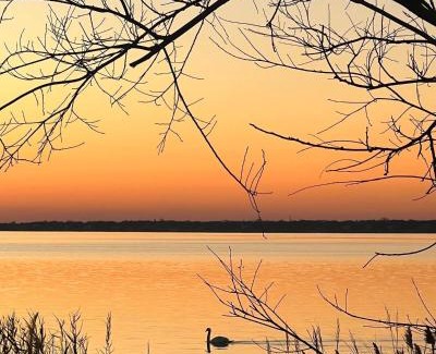Shirley House | Waterfront Designer Retreat! Stunning Sunsets! Less than 5 minutes to the beach!