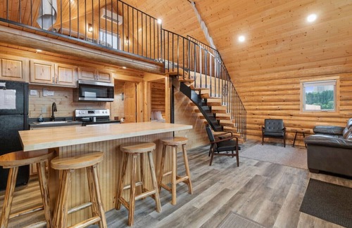 Houghton Cabin | Waterfront Log Cabin Sauna Game Room Pontoon & Snowmobile Access
