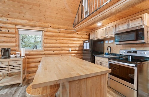 Houghton Cabin | Waterfront Log Cabin Sauna Game Room Pontoon & Snowmobile Access