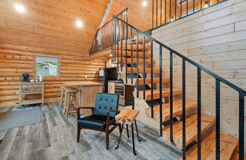 Houghton Cabin | Waterfront Log Cabin Sauna Game Room Pontoon & Snowmobile Access