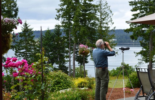 Union Bay Condo | Waterfront Suite With Kitchen On 12-acre Hobbyfarm; B&B Rooms Avail, Too.