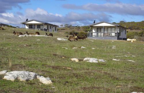 Cassini Cabin | Waves & Wildlife Cottages Kangaroo Island