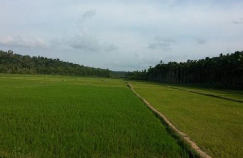 Panamaram Villa | Wayal Wayanad Twin Villa