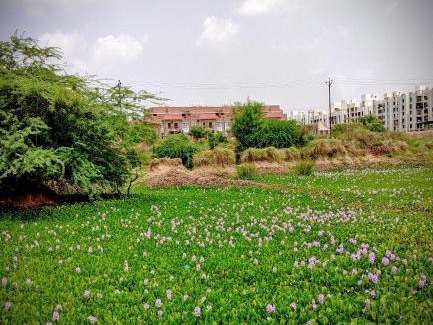 Ahmedabad House | weekend home, for peace & bliss