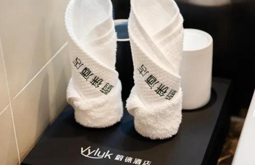 Chongqing Hotel | Weilai Hotel Chongqing Chengkou Passenger Transport Center Branch