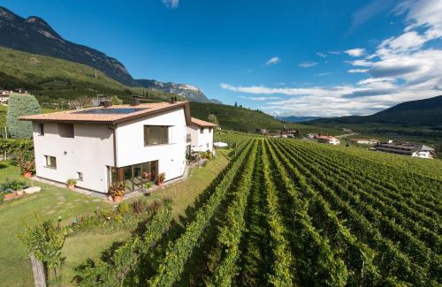 Sankt Josef Am See House | Weingut Morandell