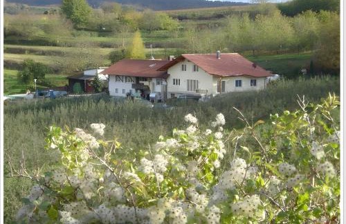 Herbolzheim Apartment | Weingut Ringwald