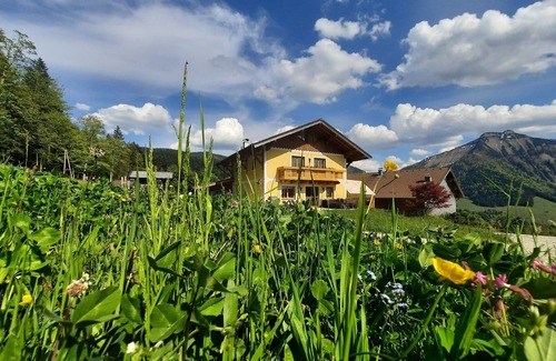 Krispl Apartment | Welcome to Appartement Reitlhof β Your Organic Farm Holiday in Salzburg π‘πΏ