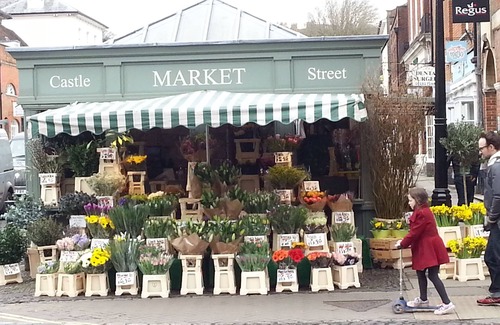 Farnham Apartment | Well located, welcoming place in Farnham