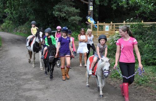 Denny Cabin | Wellsfield Farm Holiday Lodges