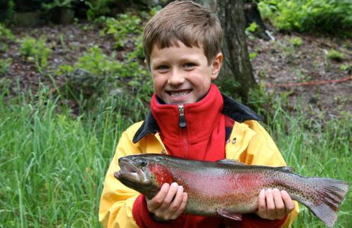 Denny Cabin | Wellsfield Farm Holiday Lodges