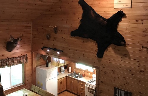 Schenevus House | Westford Haven