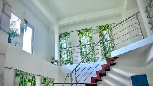 Whitehouse House | Whispering Clouds Beach House