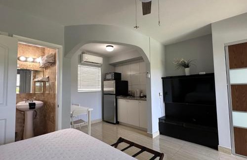 South Palm Park Neighborhood Association Hotel | White Horse Motel
