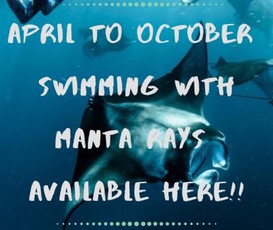 Naviti Island Hotel | White Sandy Beach-Best Manta Snorkeling
