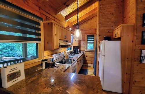 Blue Ridge Cabin | Whitewater Paradise Solo Stove Hot Tub Dog Friendly