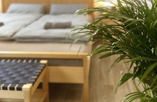 Giebichenstein Apartment | Whole apartment, 2 rooms. Close to the Saale, Burg (Plant Room 6)