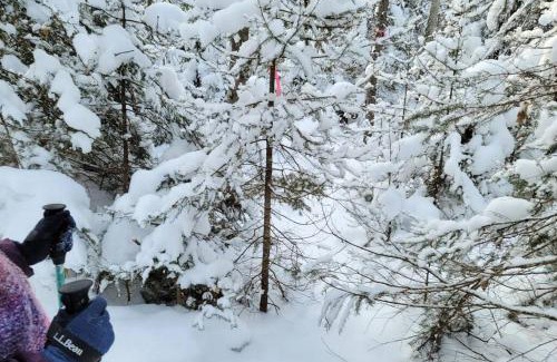 Michigamme House | Whole home, private lake, sauna, WFH office