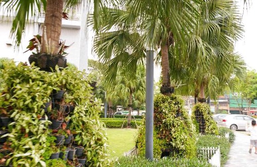 Nonthaburi Apartment | Wide Space Condo @ Nonthaburi