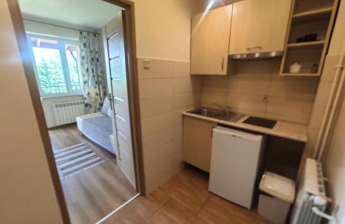 Polanczyk Apartment | Widok apartamenty,domki,pokoje