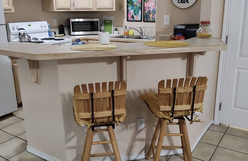 Harlingen Condo | Wild Cactus π΅