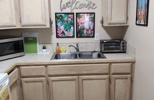 Harlingen Condo | Wild Cactus π΅