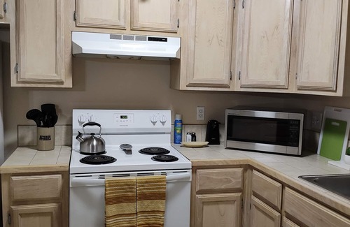 Harlingen Condo | Wild Cactus π΅