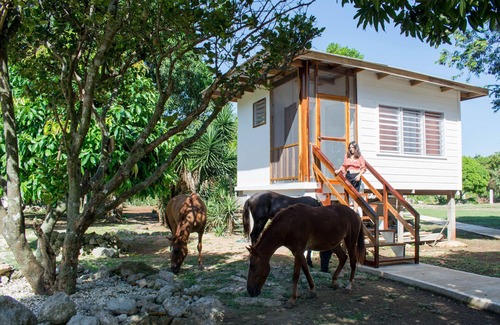 Sarteneja Cabin | Wild Horse Cottage #2