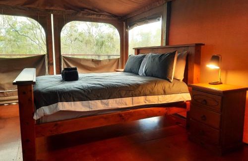 Biboohra Other | Wild Nature Lodge, Mareeba Wetlands