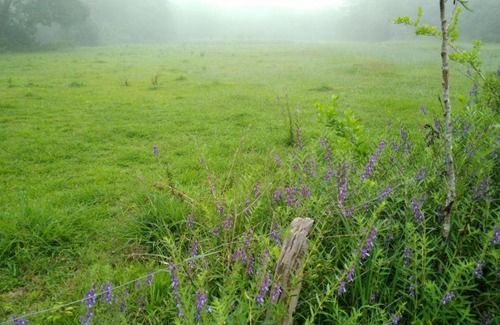 Somvarpet Resort | Wild River Cottage