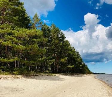 Engure House | Wild rose: Cozy place in Ķesterciems near the sea