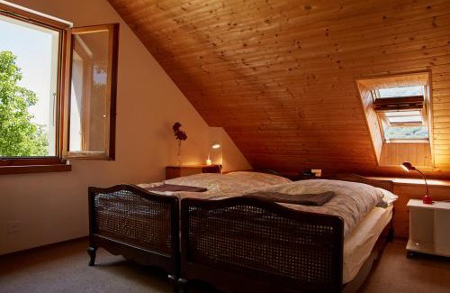 Isorno Apartment | Wild Valley Secluded Apartment 3