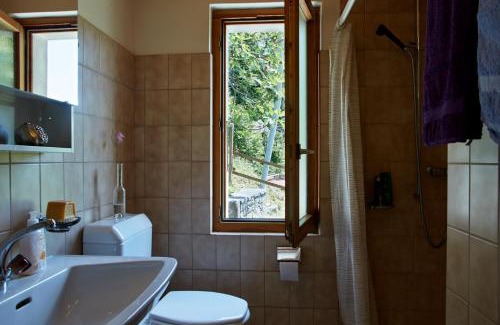 Isorno Apartment | Wild Valley Secluded Apartment 3