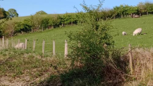 Llandovery Other | Wildcamping Gilbert Hight