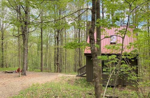 Meadows Of Dan Cabin | Wildcat Forest - a tiny cabin with lots of charm, by Buffalo Mountain Getaway