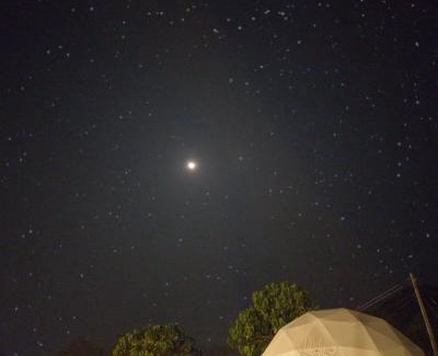Athirapally Other | Wildglamps Athirappilly