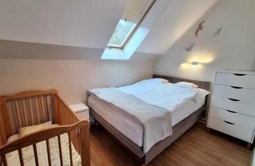 Rusinowo Apartment | Willa na wzgórzu