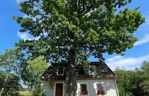 Ketrzyn Cabin | Willa Pod Dębem
