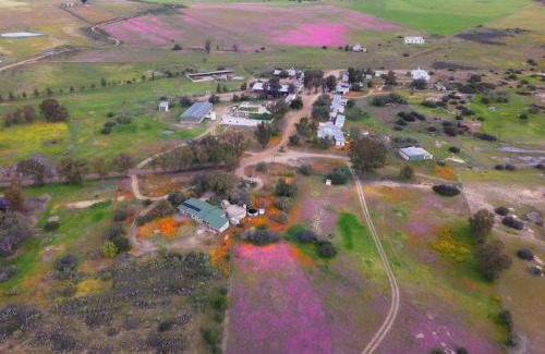Hantam Other | Willemsrivier Wild Camping
