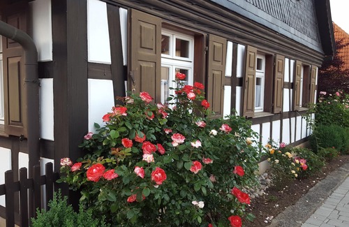 Schonbrunn Apartment | Willkommen im Historischen Landhaus