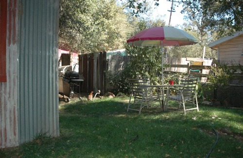 Mountain Ranch Cabin | Willow Creek Natural LLC Farm Stay-Cation/Tours
