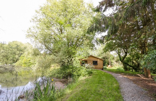 Frankton Cottage | Willow