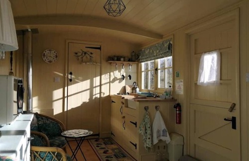 Bude House | Willow Tree Shepherd's Hut with optional hot tub and shared EV charger.