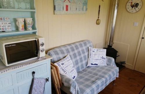 Bude House | Willow Tree Shepherd's Hut with optional hot tub and shared EV charger.